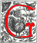 Decorated initial G