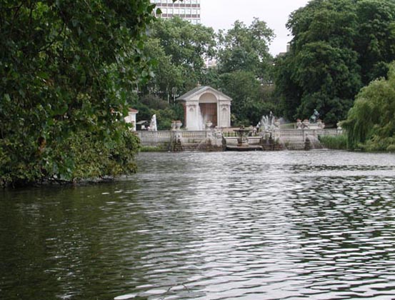 Des oiseaux d'eau