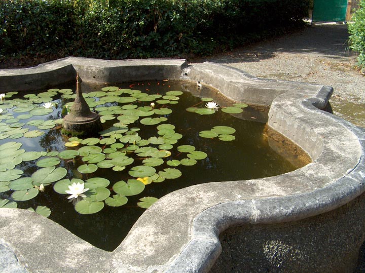 Fishpond