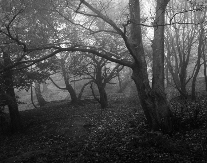 Scene from Peak District