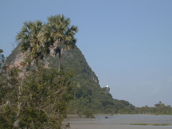 Trees, Mountain, Flood, Southern Thailand