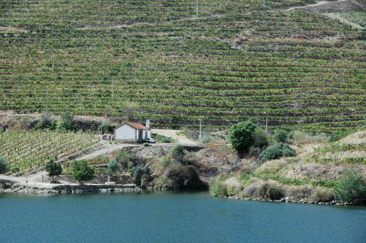 Station near the Douro River, Portugal