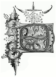 Loftie's decorated initial D