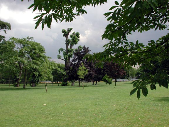 Approaching the Serpentine