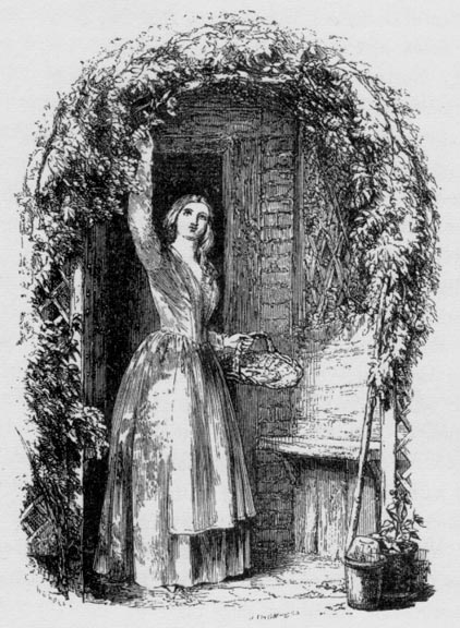 The Gardener's Daughter; or, the Pictures