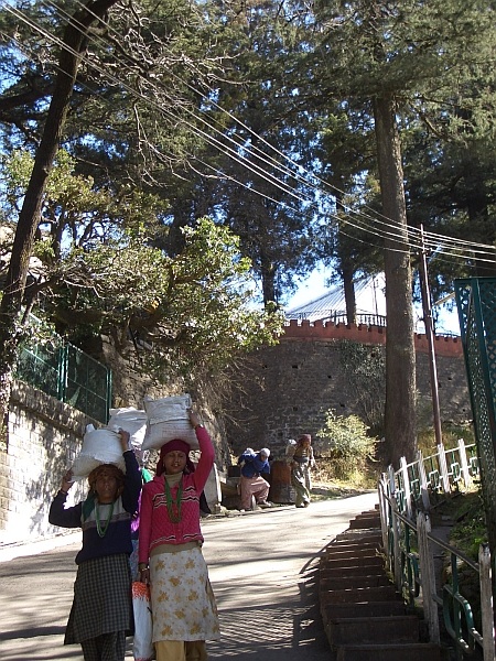 Hill-women carrying goods into Simla