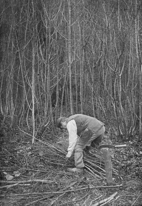 Copse-cutting